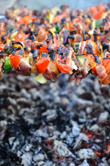 appetizer, background, bacon, barbecue, bbq, beautiful, blue, breakfast, closeup, cloud, cold, cooked, cooking, cuisine, delicious, dinner, dressing, europe, fir, fog, food, forest, french, fresh 