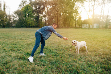 Man and dog Labrador have fun playing in ball at sunset