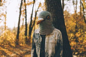 Fototapeta na wymiar Weird man in a creepy rubber pigeon bird mask in the autumn sunset forest