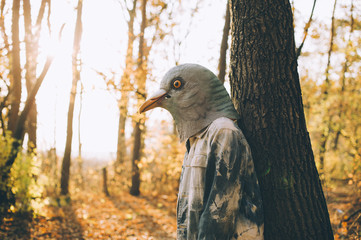 Weird man in a creepy rubber pigeon bird mask in the autumn sunset forest