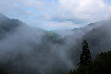 The dense fog in the smoky mountains.