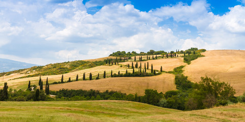 winding road flanked with cypresses in crete senesi Tuscany, Italy