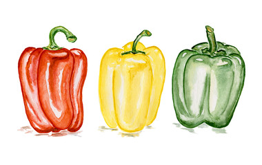 three peppers red yellow and green / watercolour