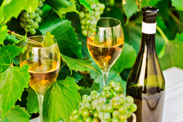 Vinnaya theme.