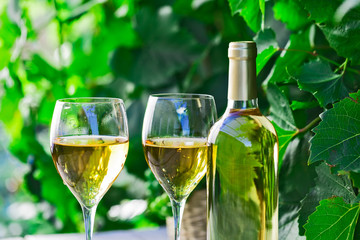 Vinnaya theme.