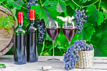 Vinnaya theme.