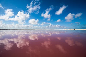 Gordijnen Salt pink lagoon in Las Coloradas, Yucatan, Mexico © javarman