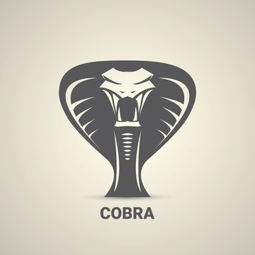 vector dangerous cobra snake icon