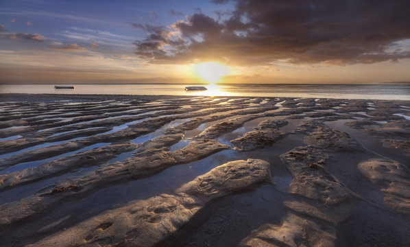 tigher sunset