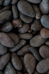 Macro of Black Sesame Seeds
