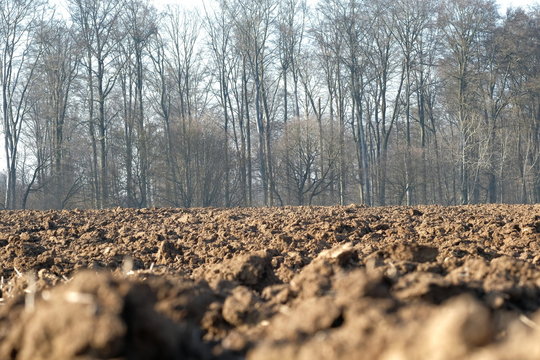 Mutterboden - Gepfl&uuml;gter Acker am Waldrand 