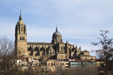 Fototapeta na wymiar cathedral of salamanca, spain