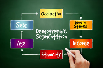 Demographic segmentation mind map flowchart social business concept for presentations and reports on blackboard