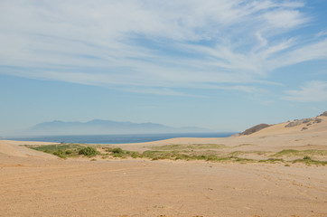 Sand dunes landscape with shrubs and rock at Ca Na, Ninh Thuan, Vietnam