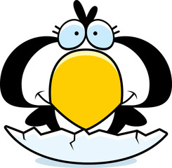Cartoon Penguin Hatch