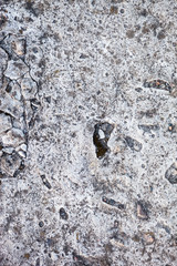 Concrete surface with rich and various texture
