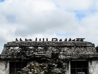 Siluetas en el cielo