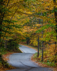 Road Winding Through the Autumn Color