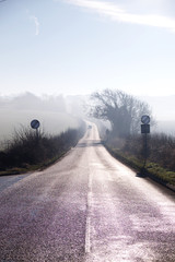 counrty road winding into distance on misty morning, road signs, countryside and mist