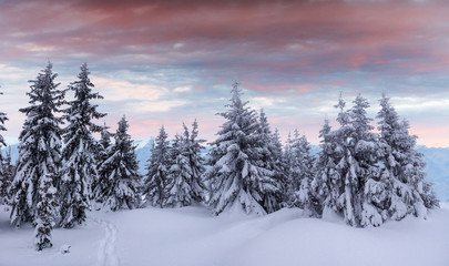 Mysterious winter landscape majestic mountains