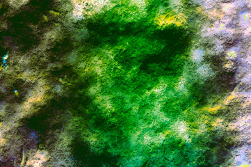 Grunge abstract color  background texture. Rainbow style.