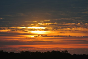 Golden Sunrise