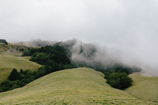 Rolling Hills and Fog in Mount Tamalpais