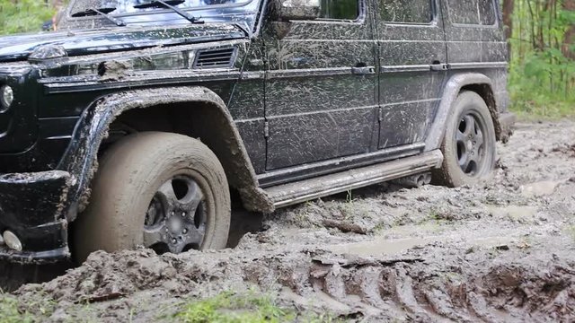 Black SUV got stuck in the mud in the forest, off-road
