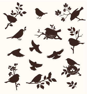 Vector set of spring bird and twig silhouettes, flying birds and on the nest. 