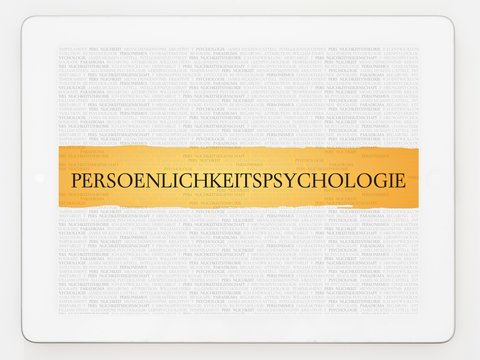 Pers&ouml;nlichkeitspsychologie