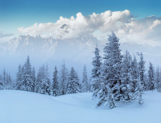 Mysterious winter landscape majestic mountains