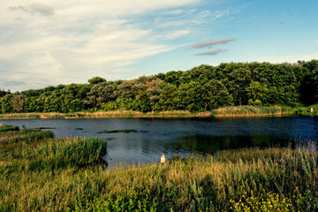 Fishing on the river near the forest, Ukraine, Dnipropetrovsk region, the river Samara