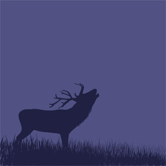 Silhouette of a deer standing on a hill at night.