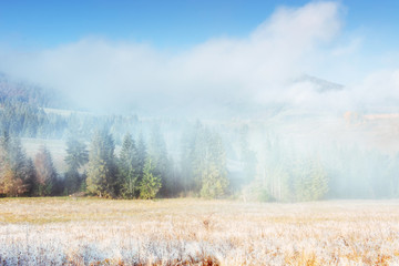 Winter landscape glowing by sunlight. Dramatic scene. Scenic fog