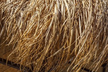 roof made from dry grass, natural