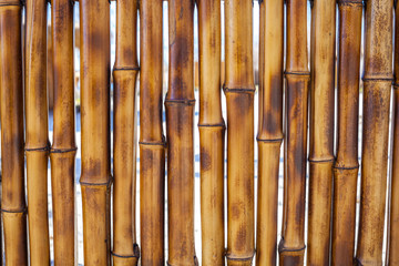 Old yellow bamboo fence texture background