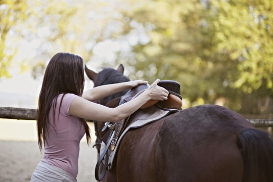 Young Woman Saddles A Horse, Baranja, Croatia, Europe