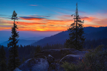 Silhouetted Trees and Granite with Blue and Orange Sunset