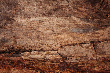 wood texture , surface, tree bark , wood background