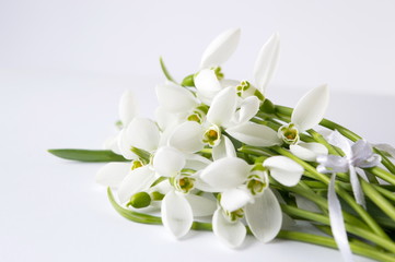 Fototapeta premium Snowdrops bouquet on white background