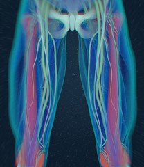 Femur bone. Human anatomy. 3D illustration