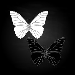 Hand drawn butterfly zentangle style