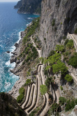 Via Krupp auf Capri