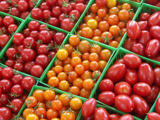 Lots of fresh picked tomatoes at farmer's market