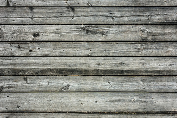 Obraz premium Grey wood texture and background