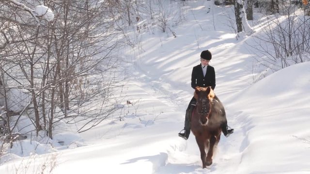 Young beautiful girl jockey riding a horse in winter forest