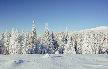 Mysterious winter landscape majestic mountains