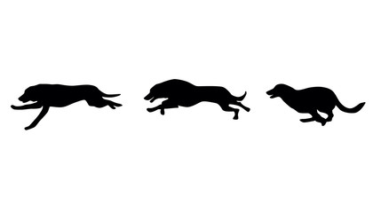 Dogs silhouettes. Dog runs. Vector illustration.