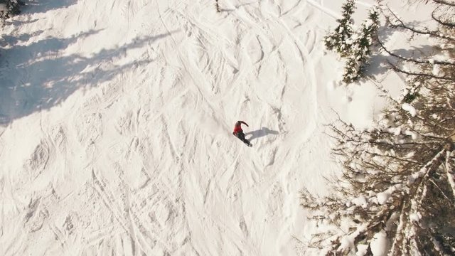 Snowboarding freeriding in forest aerial view