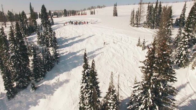 Snowboarding freeriding in forest aerial view